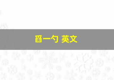 舀一勺 英文